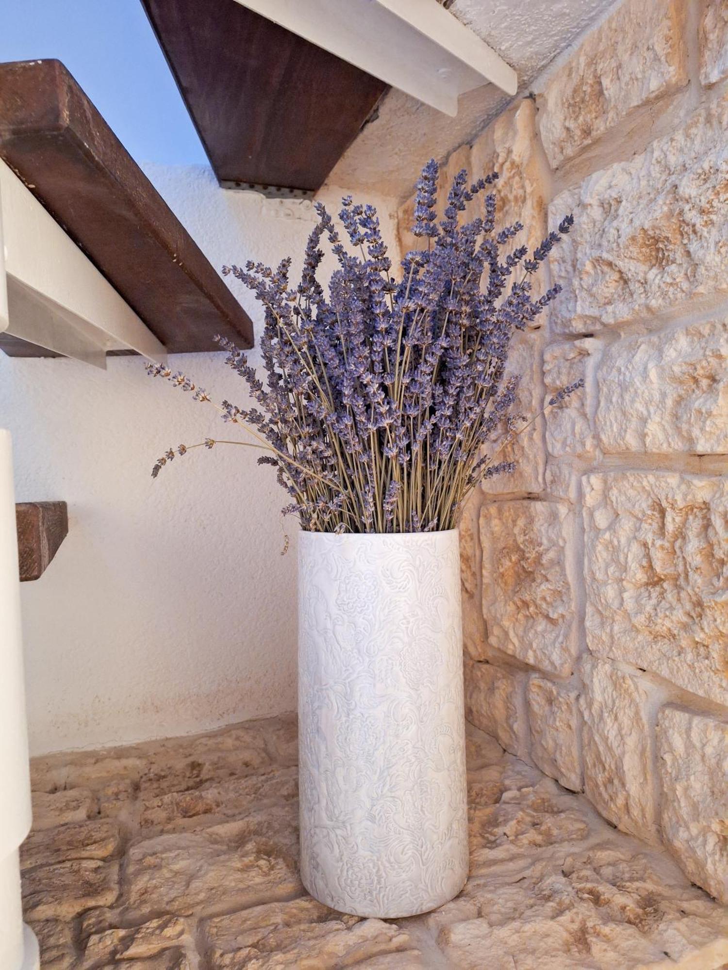 St Peter's Heritage House * Trogir